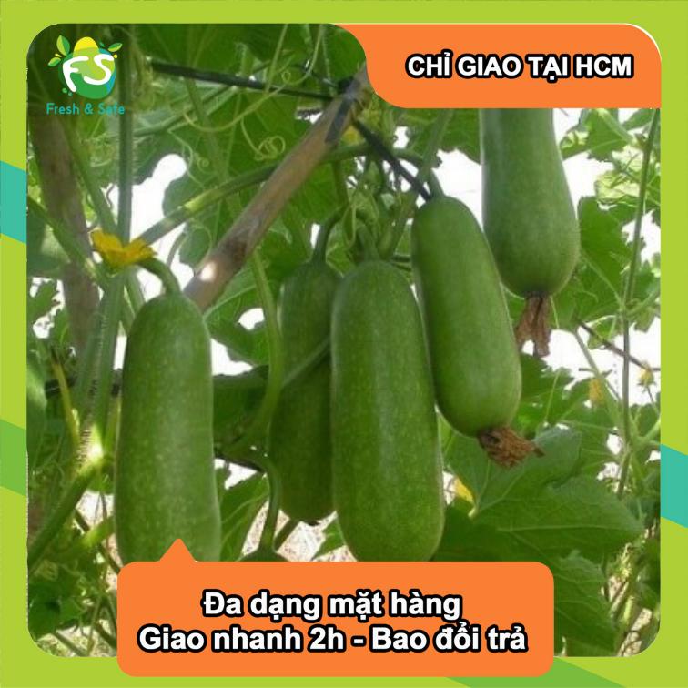 [Chỉ Giao HCM] Bí Đao - 500g