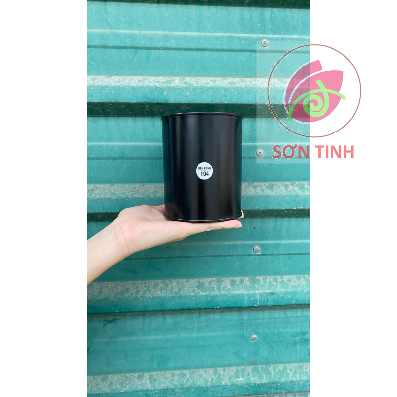 Sơn sắt mạ kẽm chuyên dụng 1K Dolphin 800g
