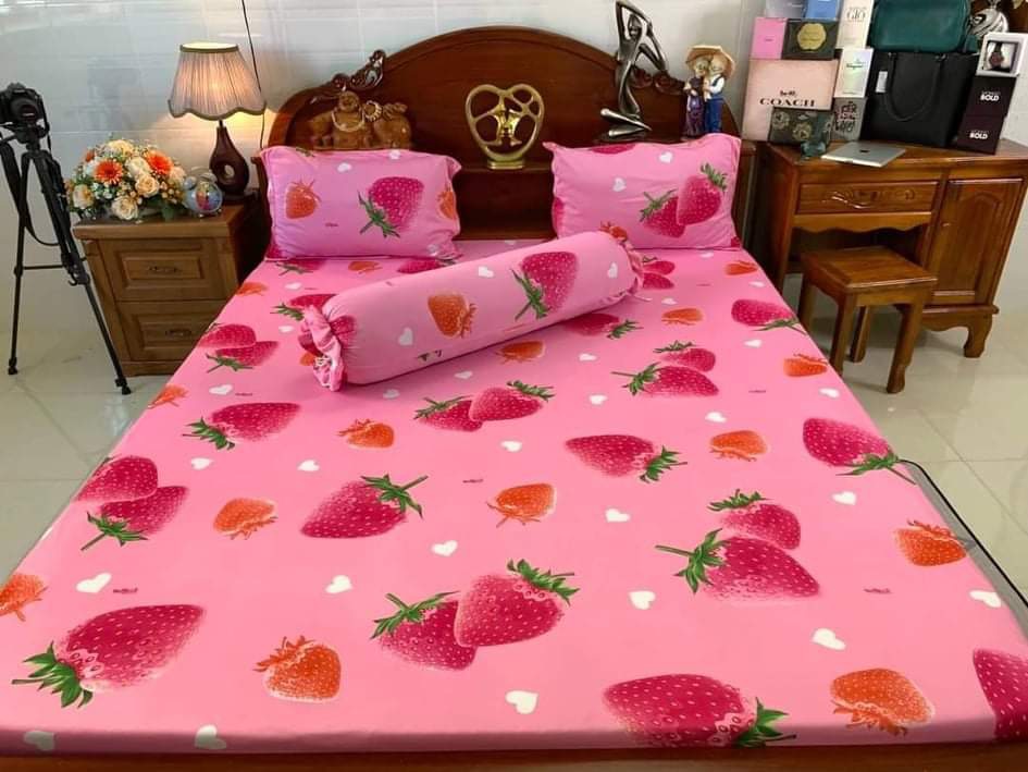 Combo 4 Món Ga Vỏ Gối chất thun lạnh (1 Ga - 2 Vỏ gối đầu - 1 Vỏ gối ôm)