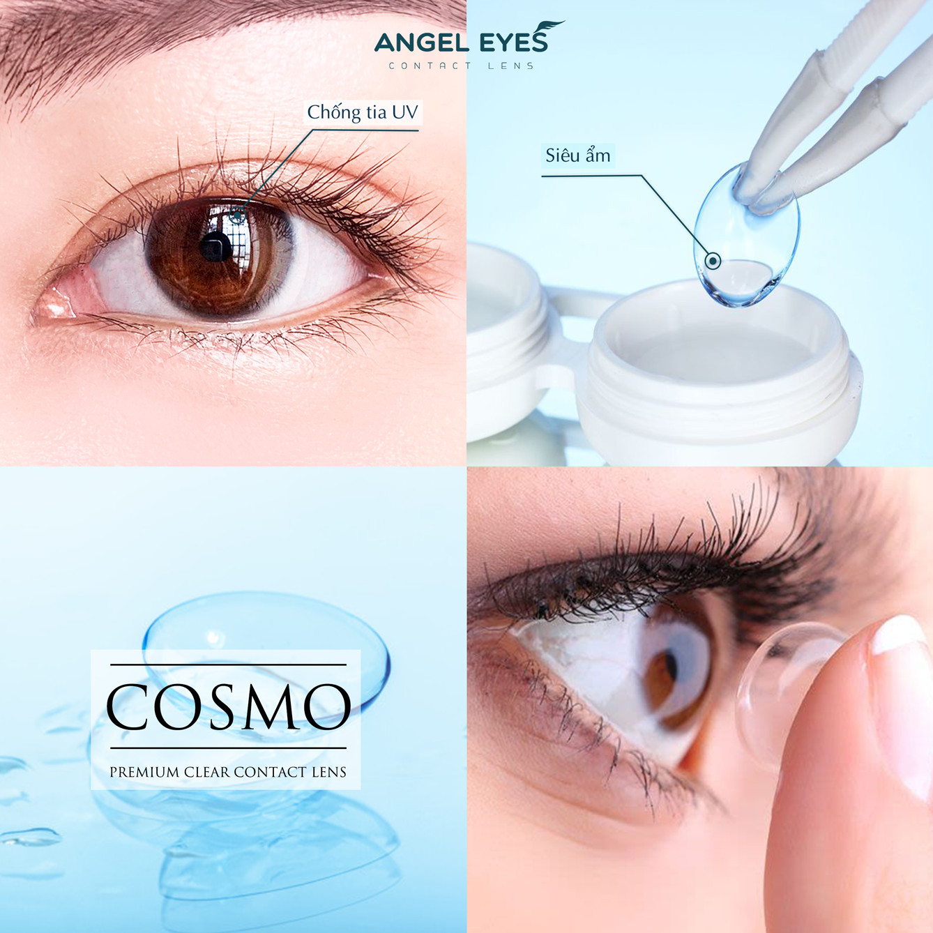 [POLYHEMA 8H] Contact Lenses for sensitive eye - Angel Eyes Cosmo, Shot-sign -1.00 đến -15.00 - Daily 6-8H use, Use in 1 year