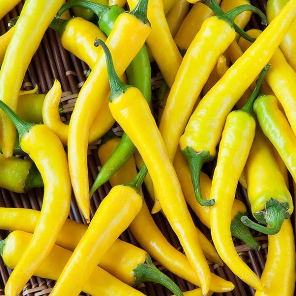 Hạt giống ớt sừng vàng Châu Phi F1  - Gói 0.1gram