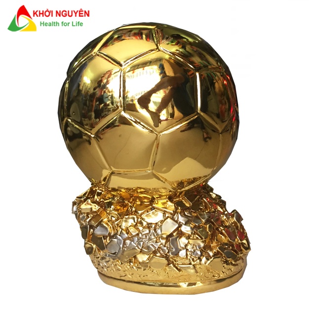 Cúp lưu niệm quả bóng vàng fifa