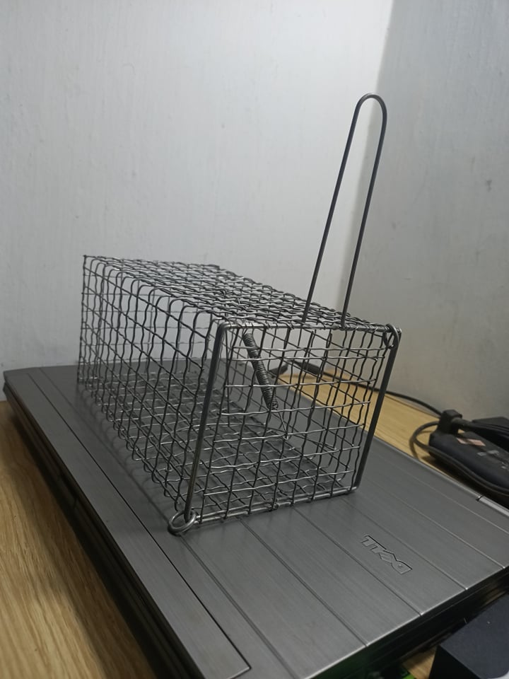 lồng bẫy sốc, chuột