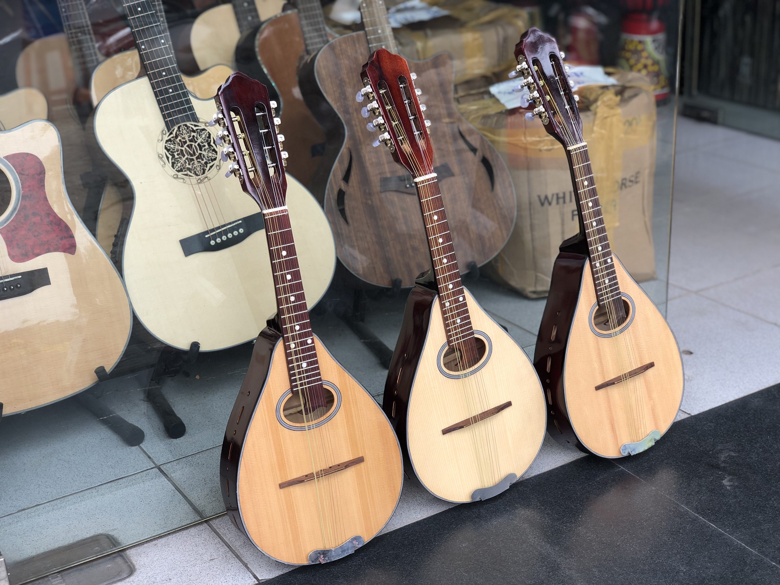 Đàn mangdolin Việt Nam
