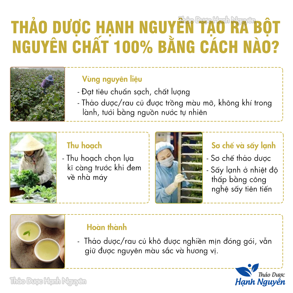 Bột lá bồ công anh nguyên chất 100g (Hỗ trợ phòng ngừa ung thư, u xơ)