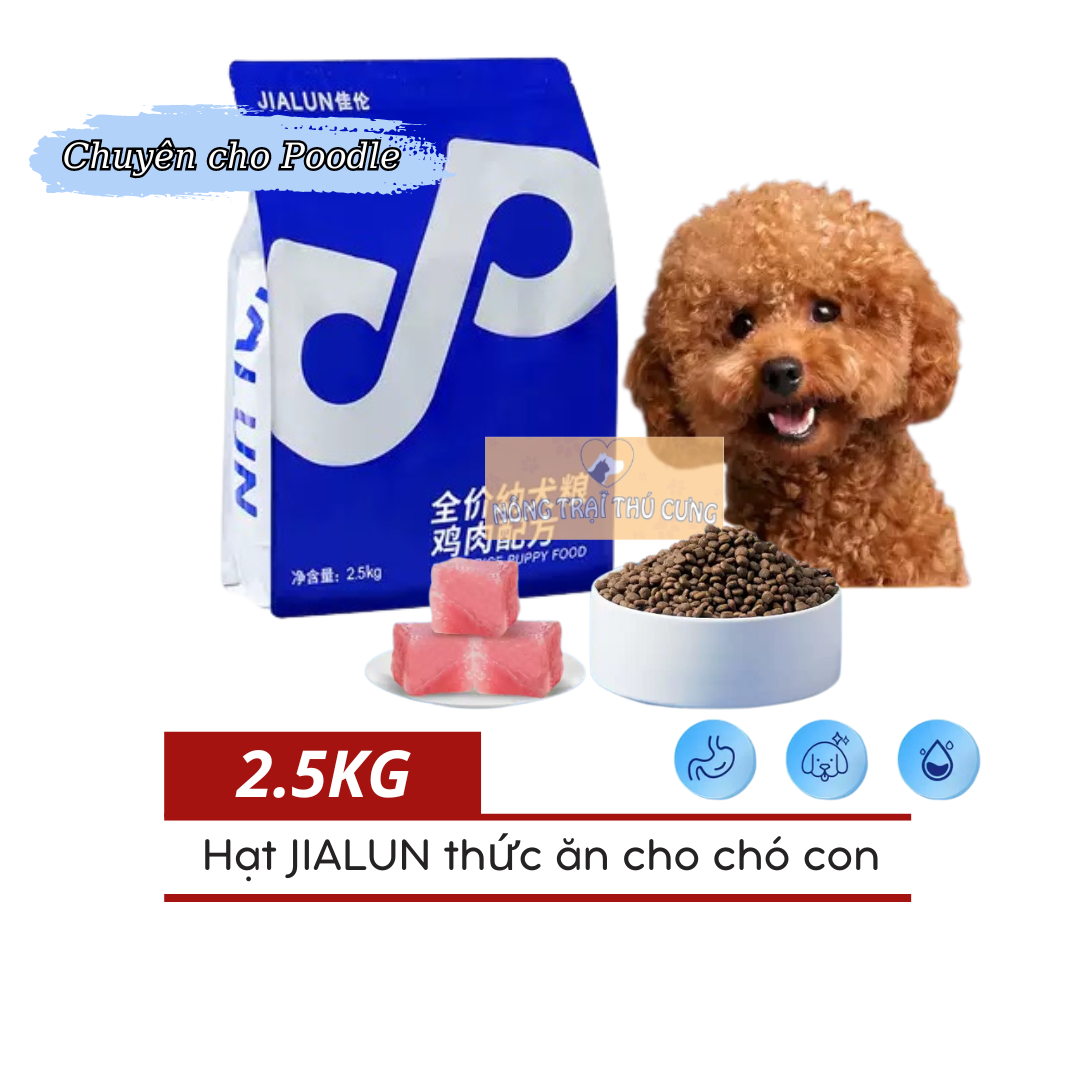 Thức ăn hạt poodle chó con jialun - vị bò -