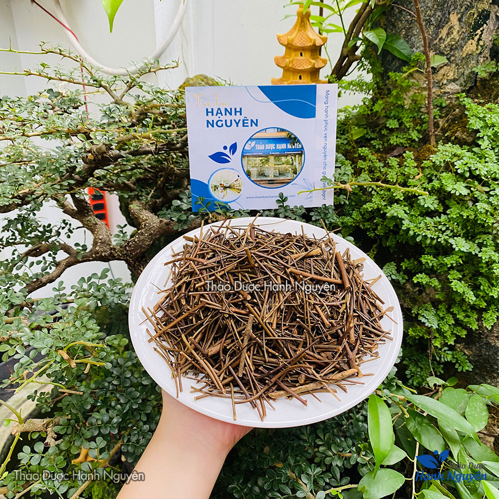 Chè Vằng Lá Sẻ 100g (Sao Vàng Hạ Thổ)