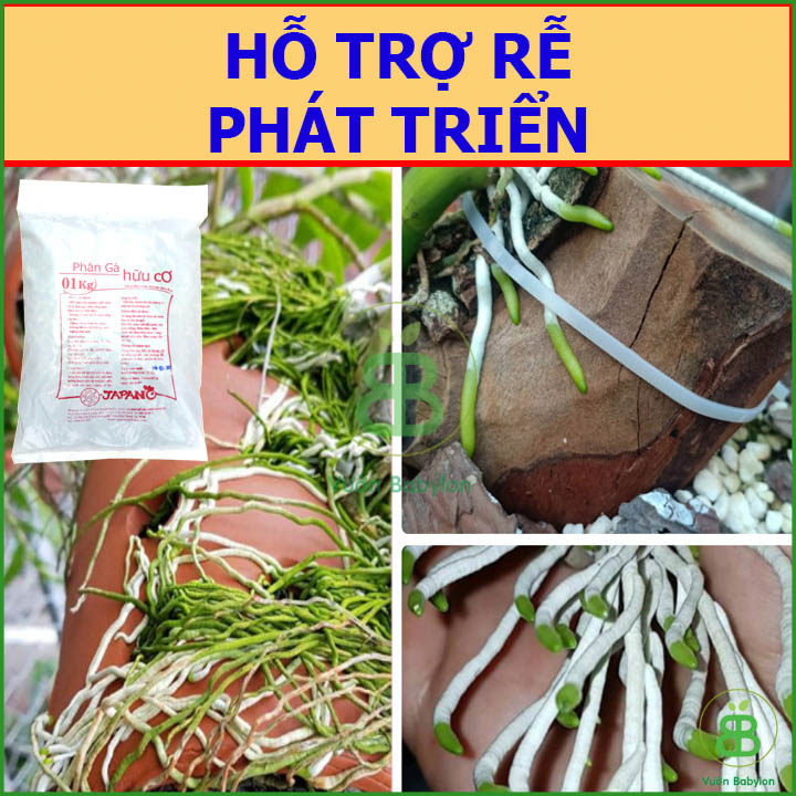 Phân Gà Hữu Cơ Nhật Bản 1KG