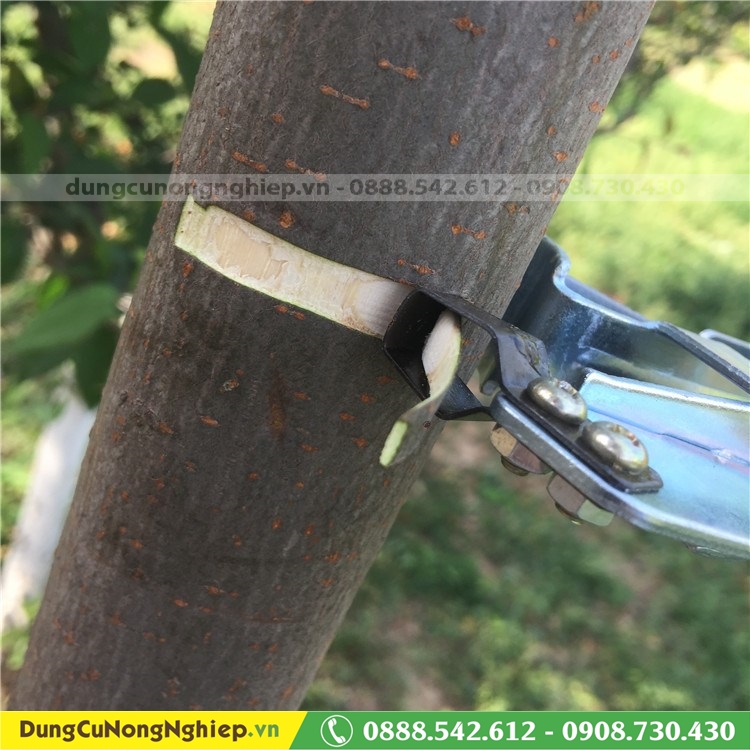 Dụng cụ khoanh vỏ chuyên dụng