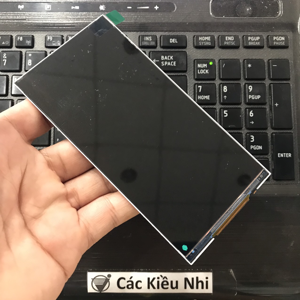 Itel	Alpha | W5503	Màn hình	LCD rời