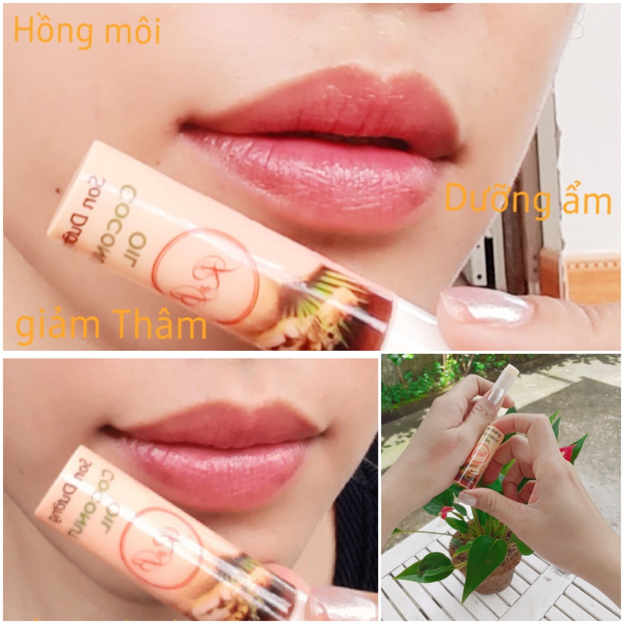 SON DƯỠNG DẦU DỪA R&B