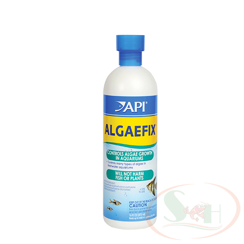 Diệt Rêu Tảo Hại API Algaefix