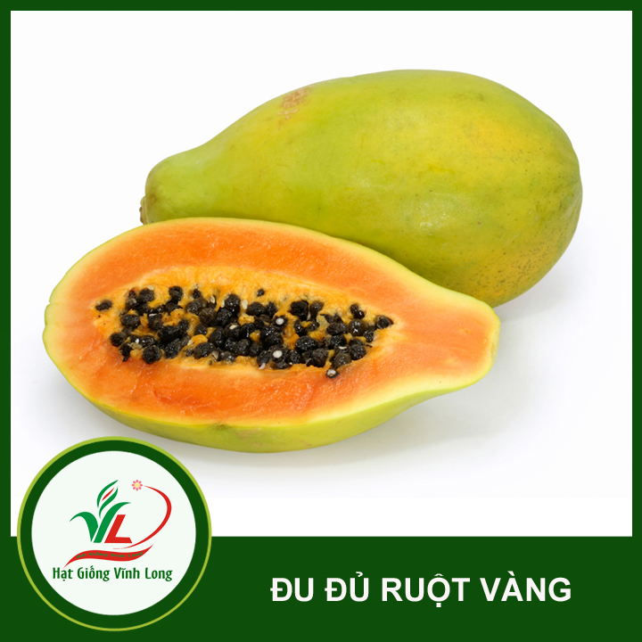 Hạt giống đu đủ ruột vàng Vĩnh Tường - 5 hạt