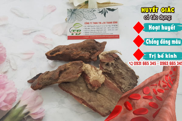 Cây Huyết Giác Khô 1KG - Đông Y Thanh Bình