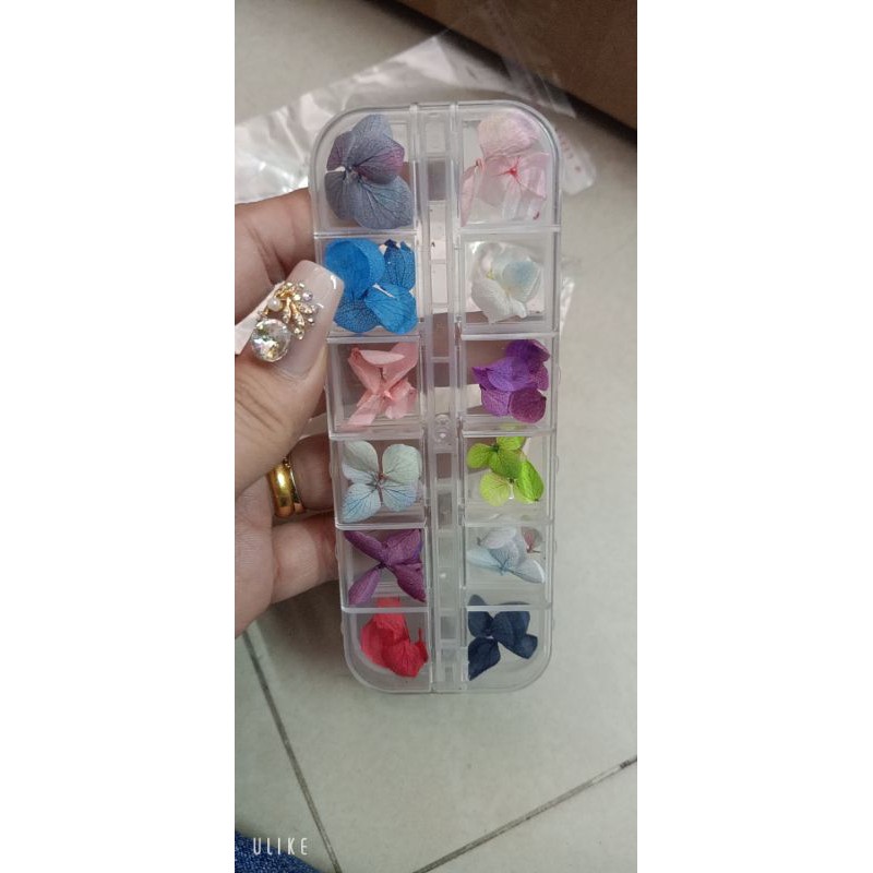 [NNail] hoa lụa khô ẩn gel