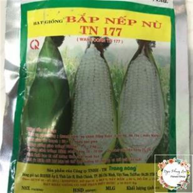Giống Bắp Nù - Gói 100 Gram