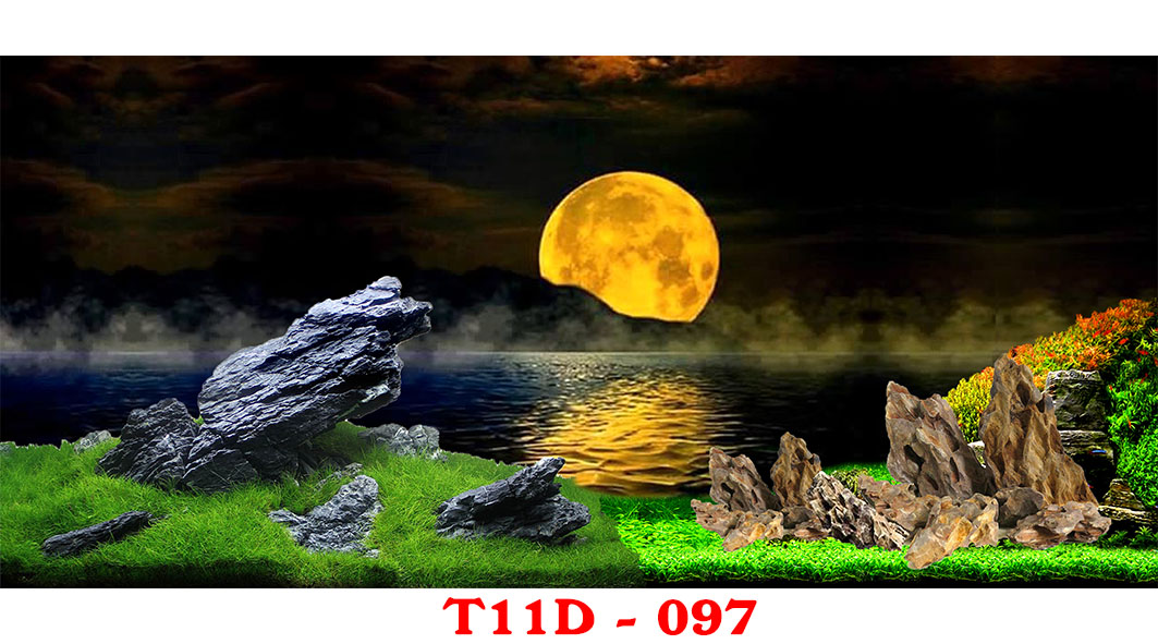 Tranh 3D Bể cá T11D 097 Fuil kích THước