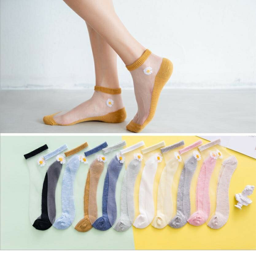 SET 10 ĐÔI VỚ LƯỚI HOA CÚC 10 MÀU