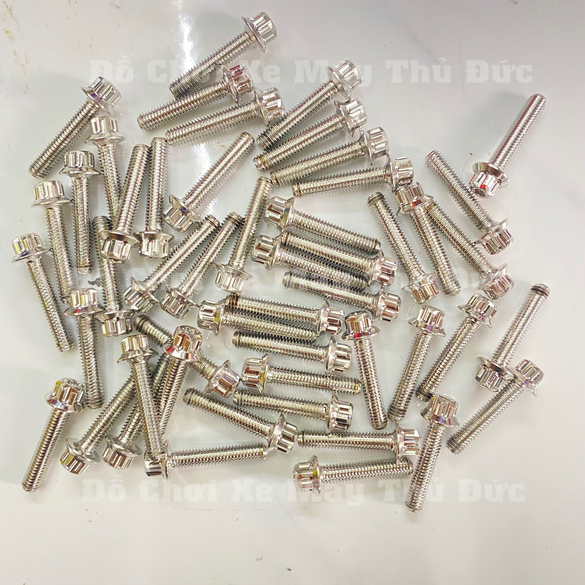 Ốc Salaya 6li Trụ inox 304