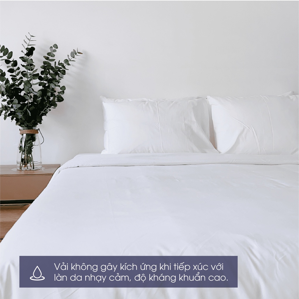 Changmi Bedding Premium Silk Cotton Bedding Set, Super Soft and Cool (4 Pieces)