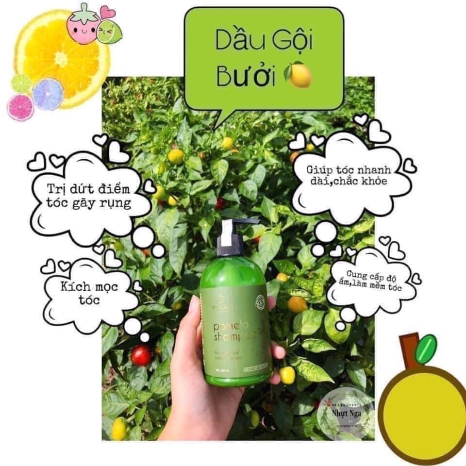 Xịt Tinh Dầu Bưởi VIJULY Hết Lo Rụng Tóc