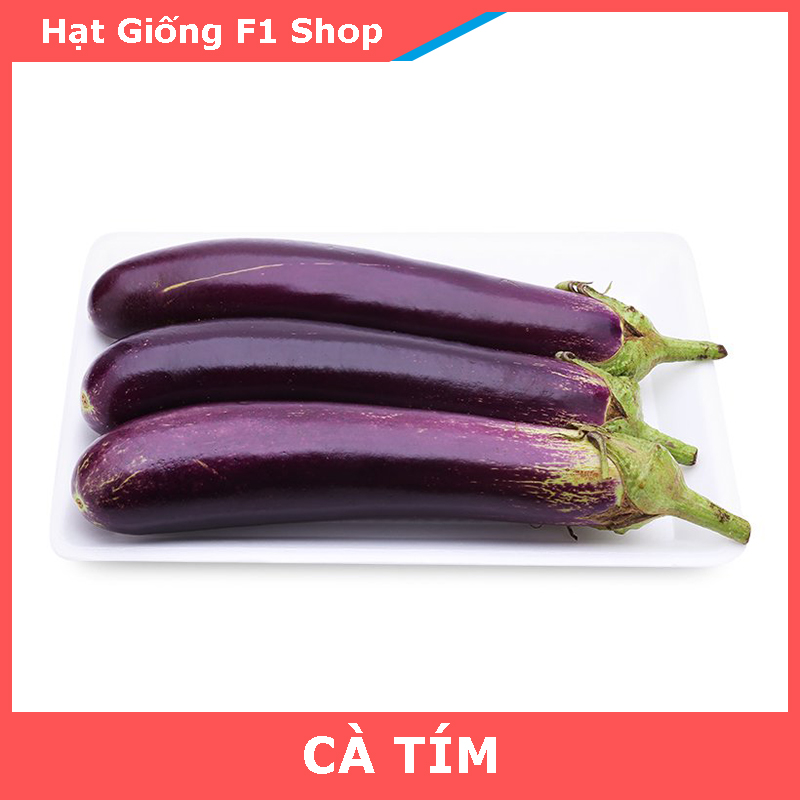 Hạt Giống Cà Tím Ít Hạt