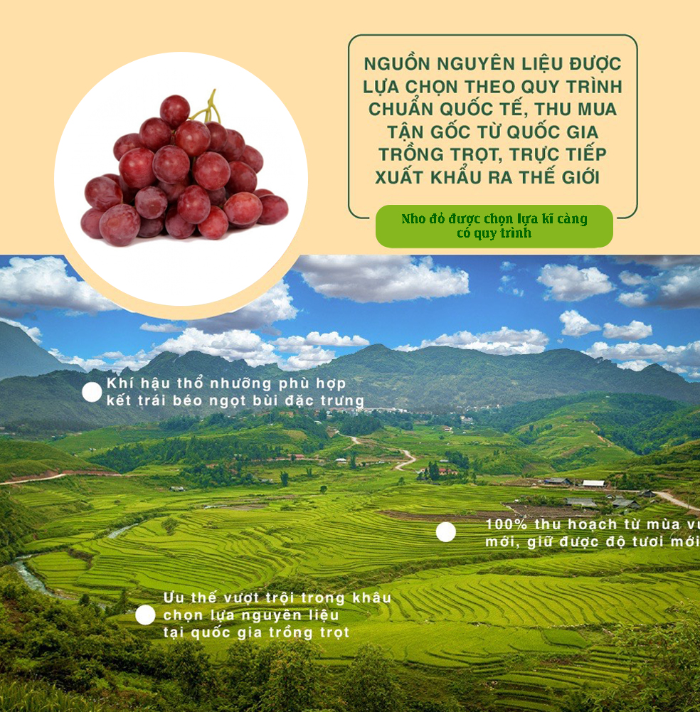 [Chính Hãng] Nho Đỏ 454g Dan D Pak