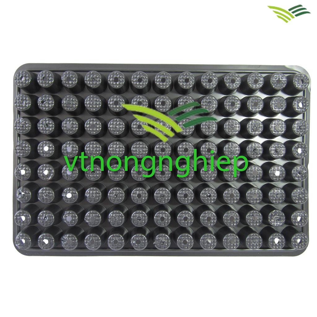 10 khay nhựa ươm cây 104 lỗ