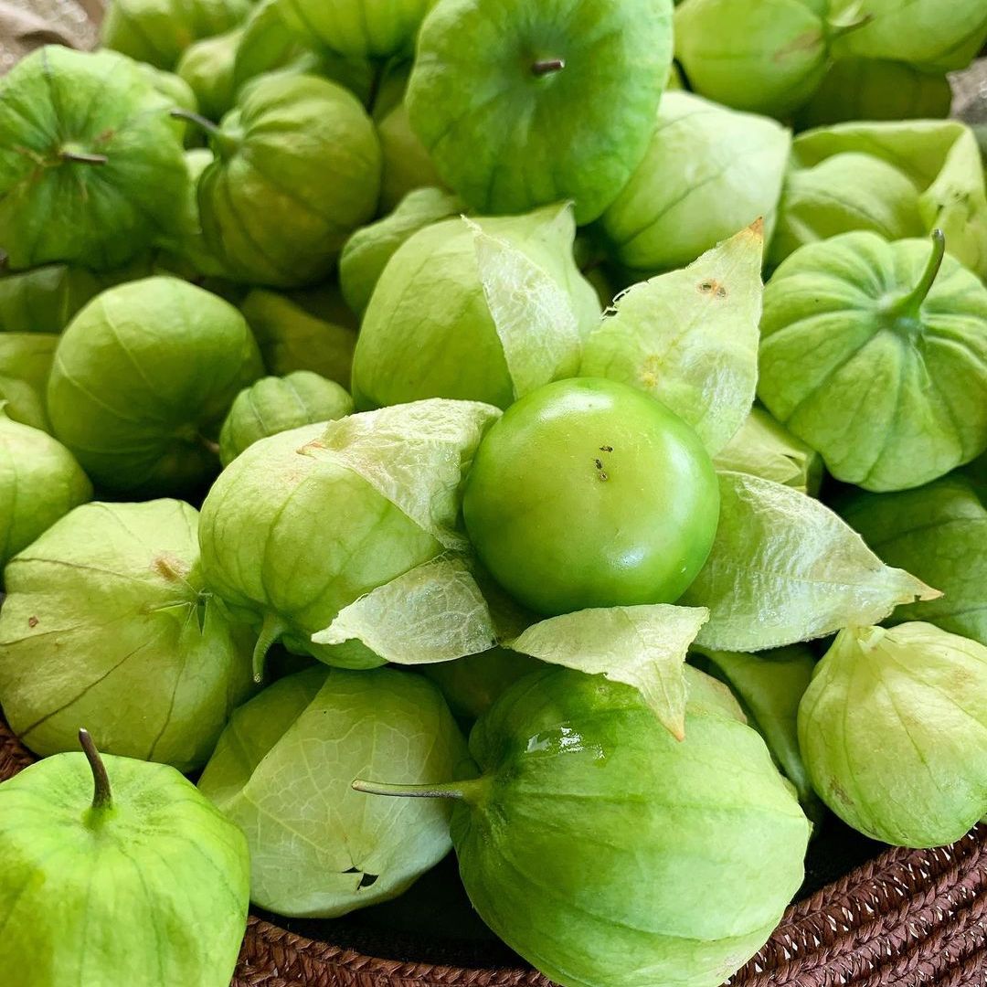 Hạt giống thù lù xanh Nam Mỹ