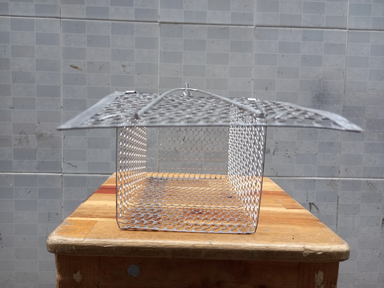 Bẫy chuột lồng sắt dài 21X 14 14 CM