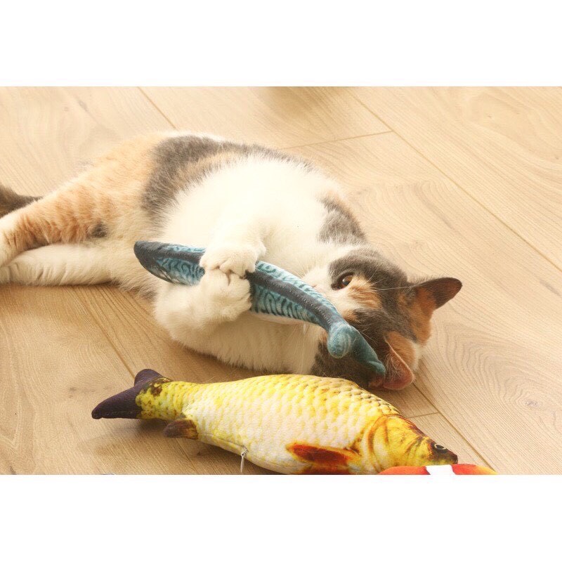 Cá đồ chơi Catnip cho chó mèo nhồi bông
