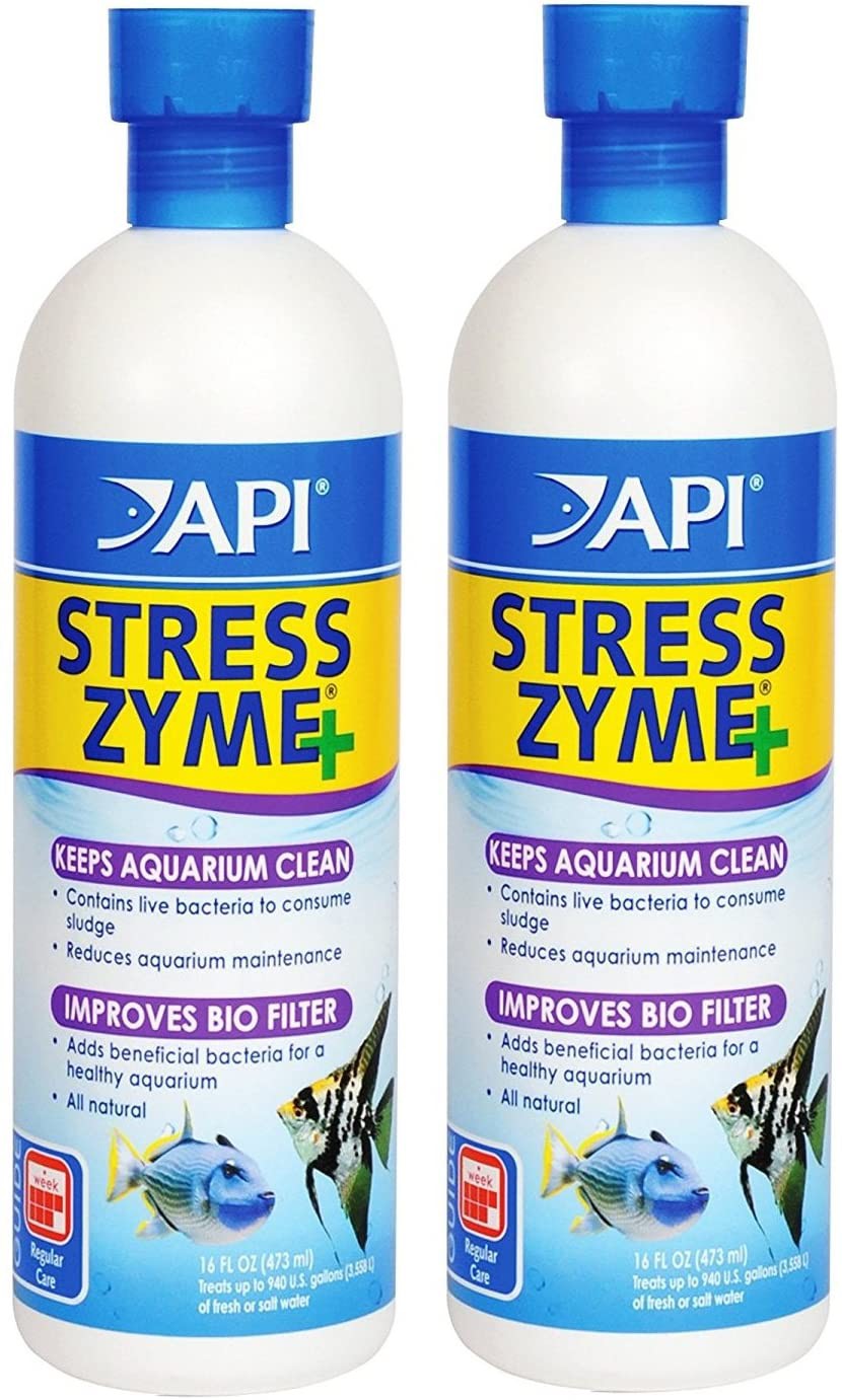 [HOÀN TIỀN 10%]VI SINH SỐNG CAO CẤP API STRESS ZYME+ (237ML)