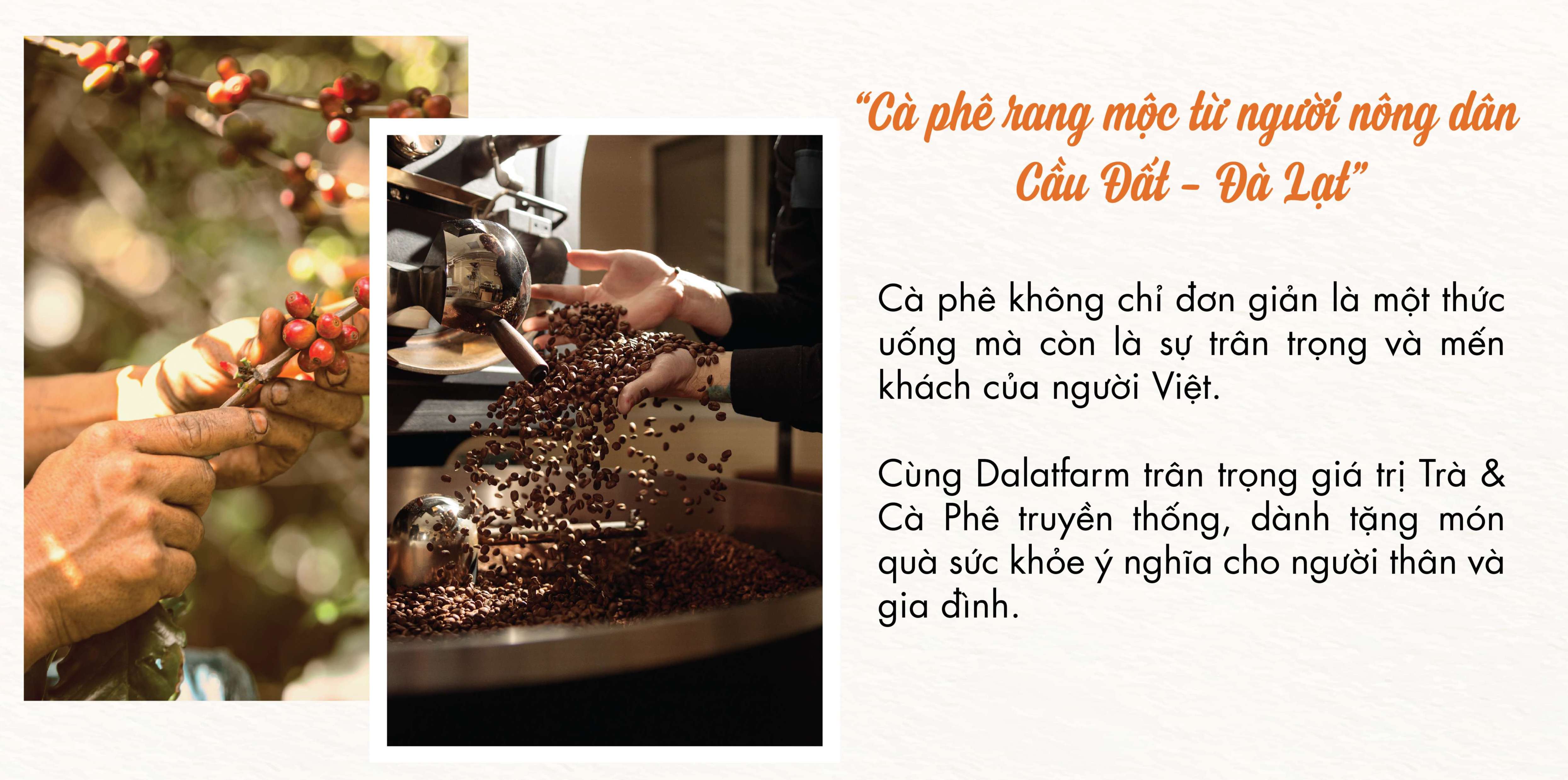 Cà phê phin giấy Robusta Lâm Đồng DalatFarm - Túi 10 g