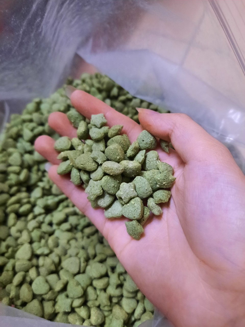 Lọ 50 gr viên rau xanh cho pet