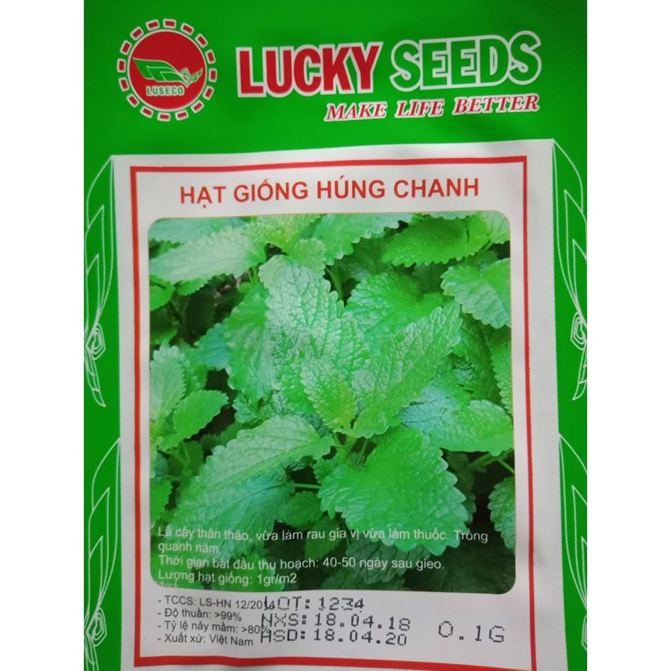 Hạt giống húng chanh - gói 0.1 gram ( 550 hạt)