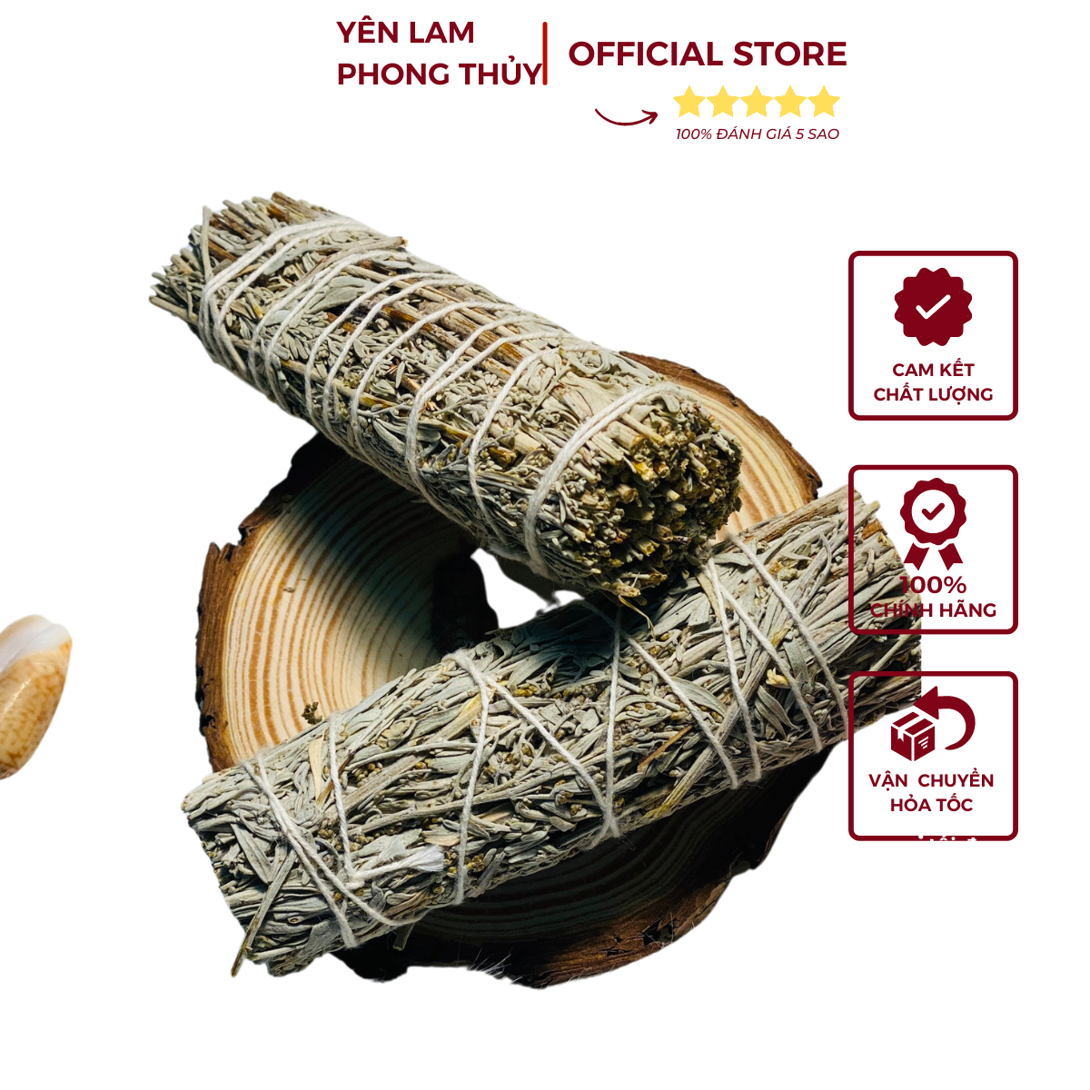 Blue sage, xô thơm xanh thu hút tài lộc, xô xanh may mắn nhập khẩu, lá xô xông nhà cửa 10-12cm