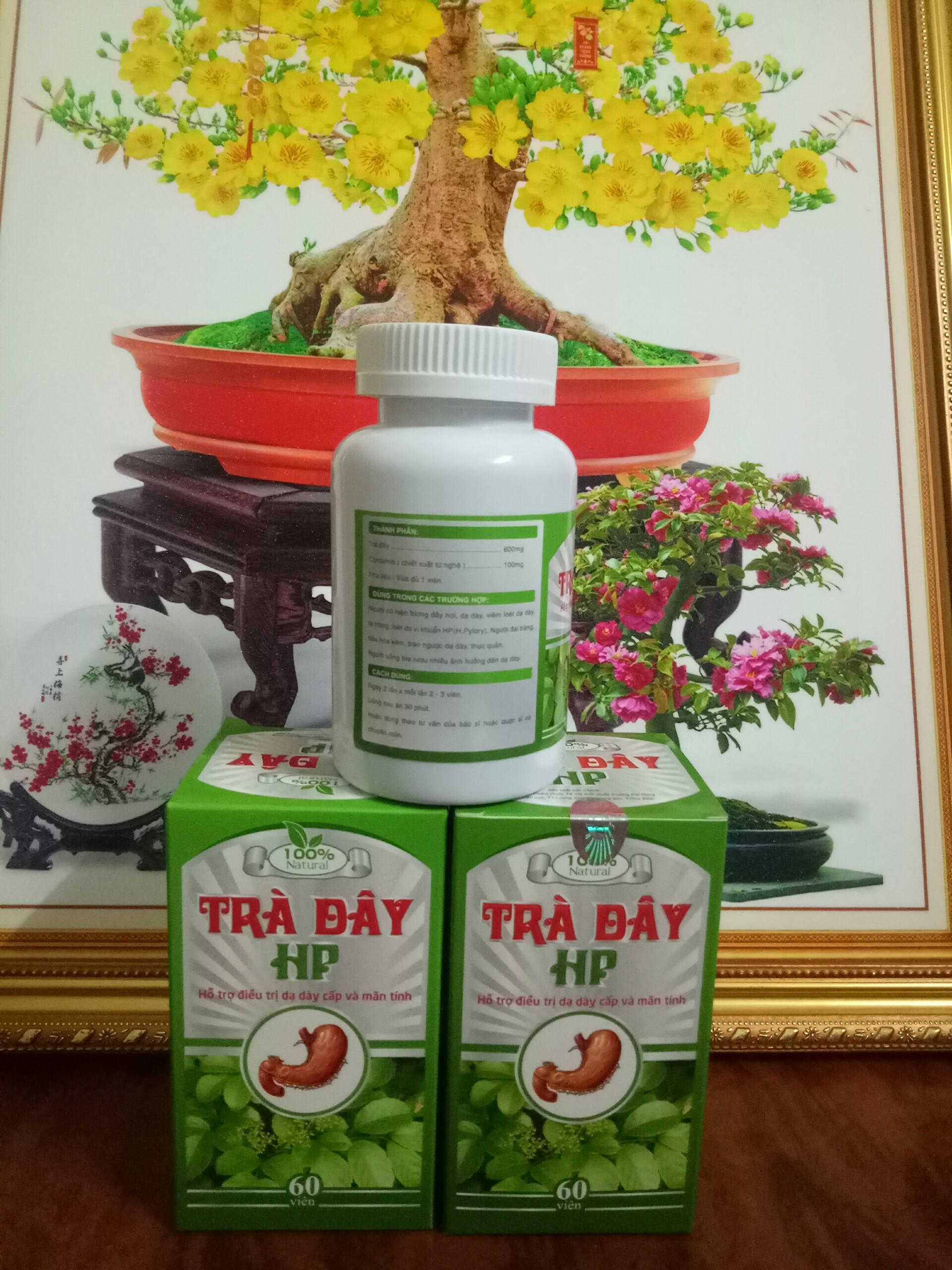 [HCM]Viên Dạ Dày Trà Dây HP ( Mẫu new 2022 )