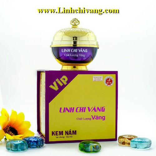 [HCM]KEM NÁM TÀN NHANG ĐỒI MỒI VIP LINH CHI VÀNG 35G