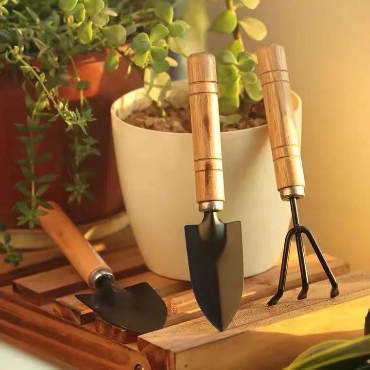 Dụng Cụ Làm Vườn Mini, Bộ dụng cụ mini làm vườn C36