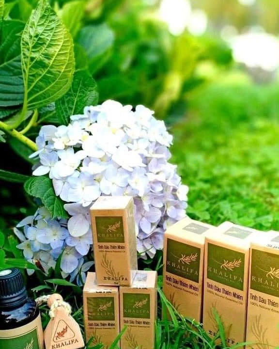 TINH DẦU BƯỞI 50ML