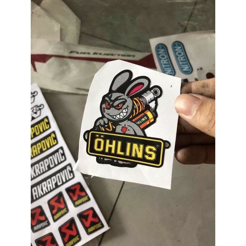 Tem Con Thỏ Ôm Phuộc Ohlins