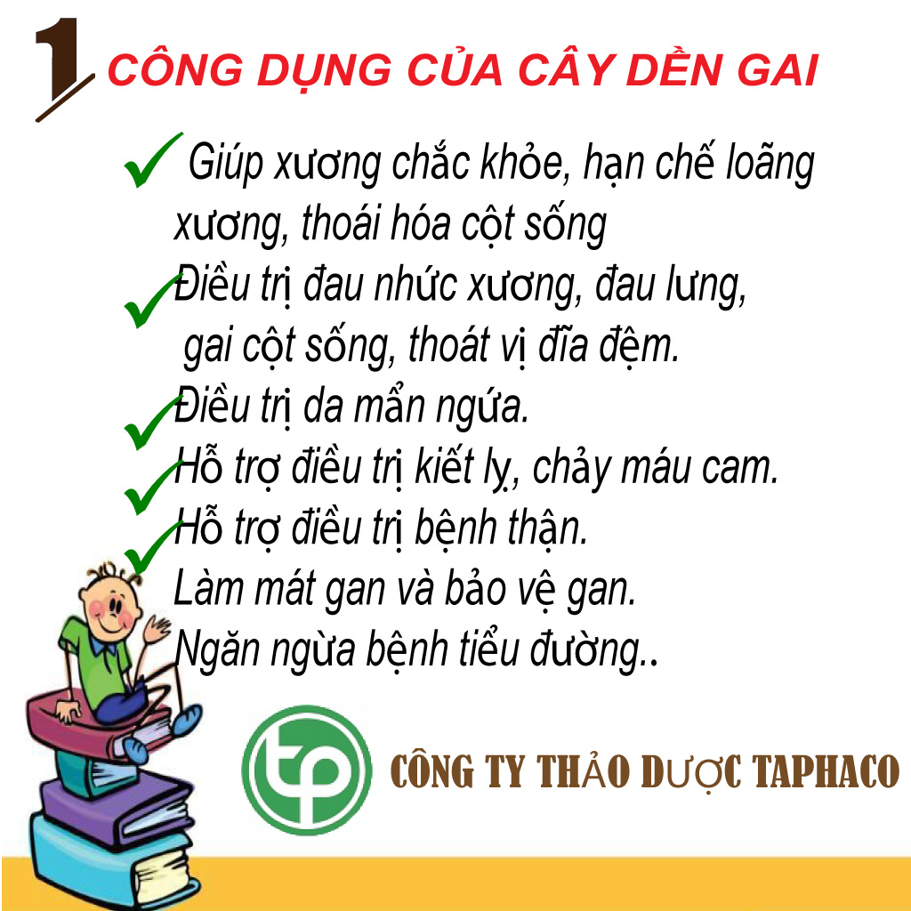 Cây dền gai khô 500g - tấn phát
