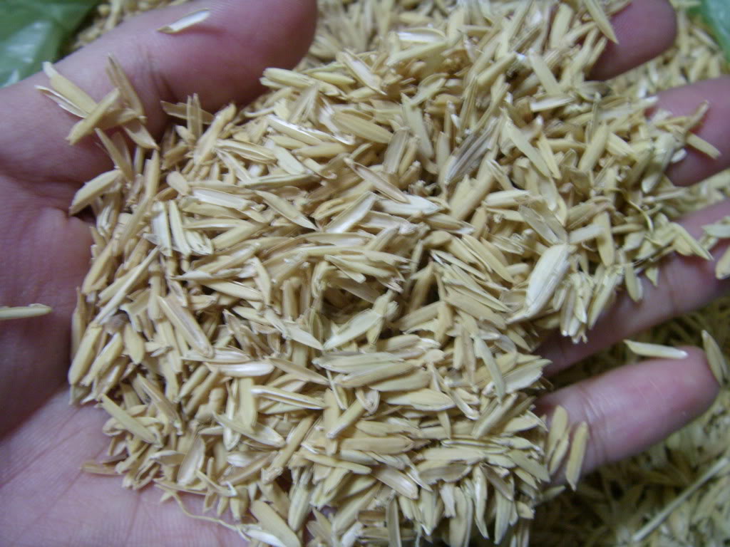 1Kg Vỏ trấu khô trồng cây