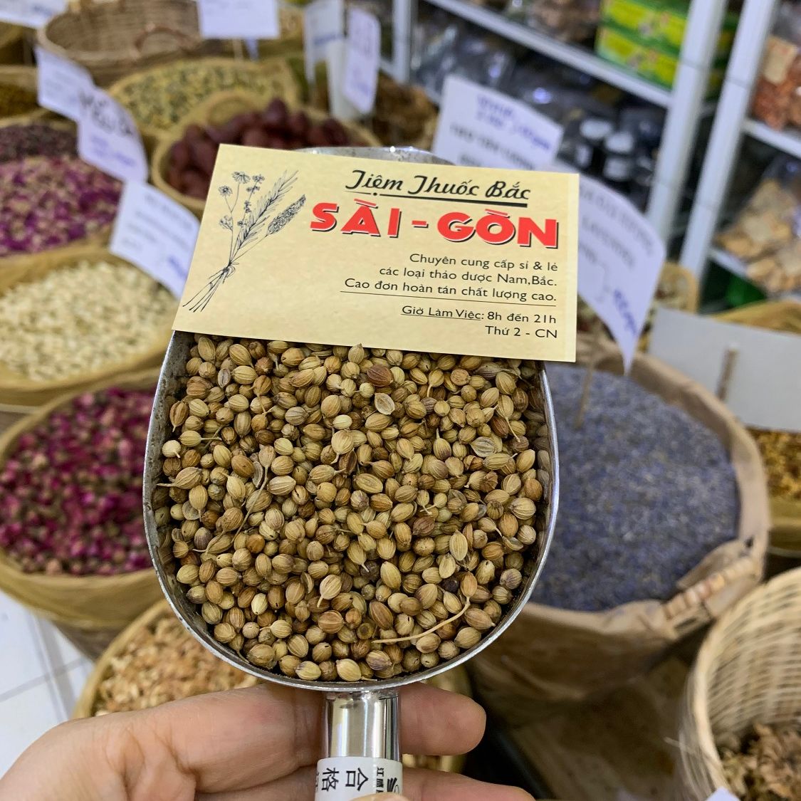 Hạt Ngò Khô 100gram (Gia vị nấu phở, ướp thịt, hạt thơm, mới)