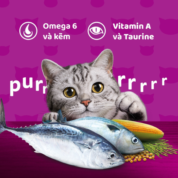 Hạt cho mèo Whiskas vị cá biển 3kg siêu hấp dẫn thú cưng