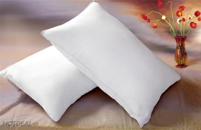 [HCM]Ruột gối nằm kích thước 45*65 cm