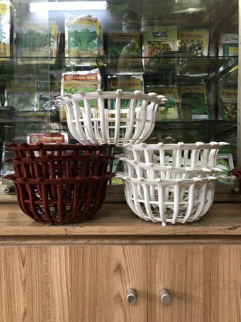 combo 5 chậu giả gỗ trồng lan phi 25 - chậu lan sen