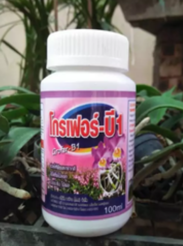 PHÂN BÓN vitamin B1 THÁI LAN GROFER 100ML hàng đẹp phân phối chuyên nghiệp