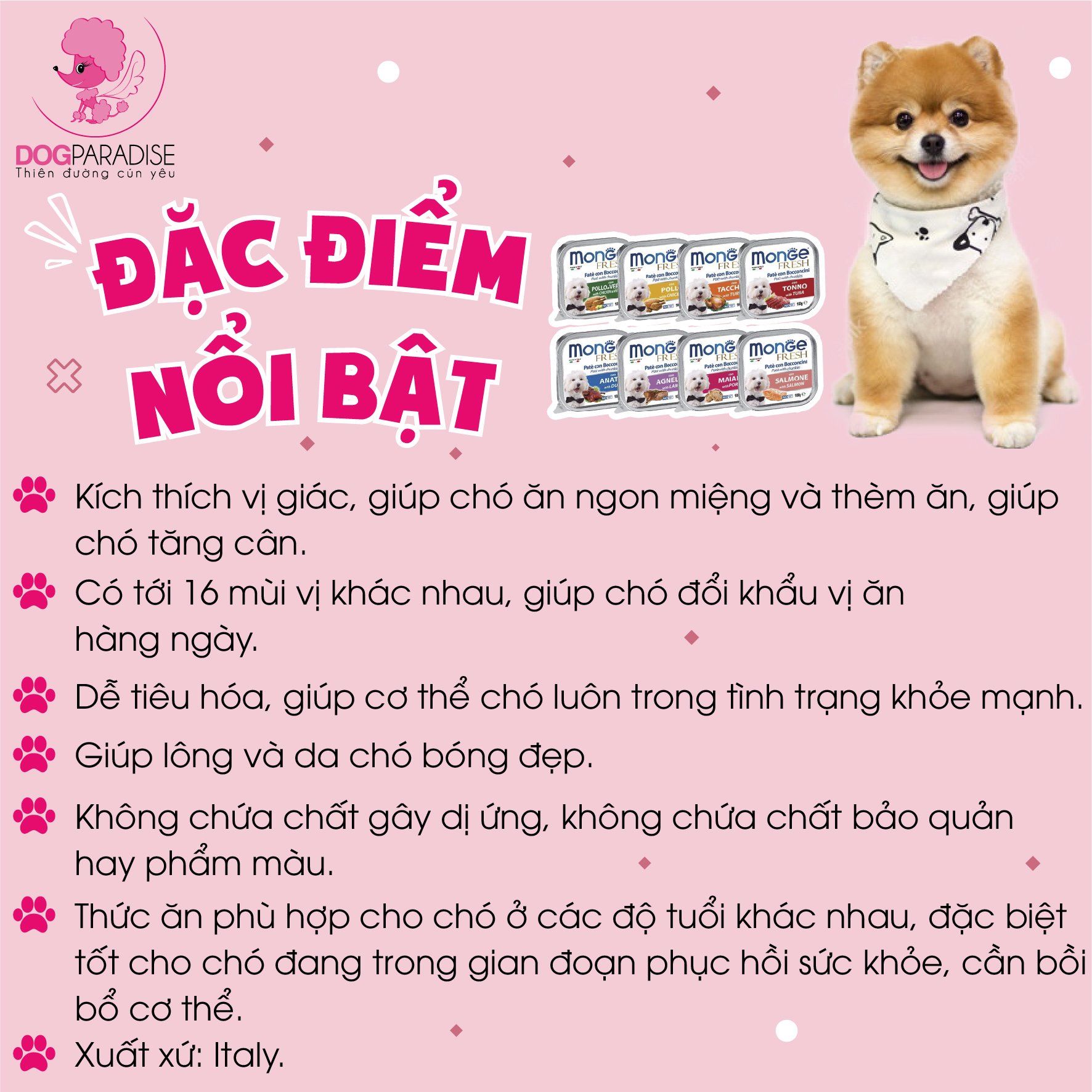 Pate cho chó Monge nhiều vị - Dog Paradise