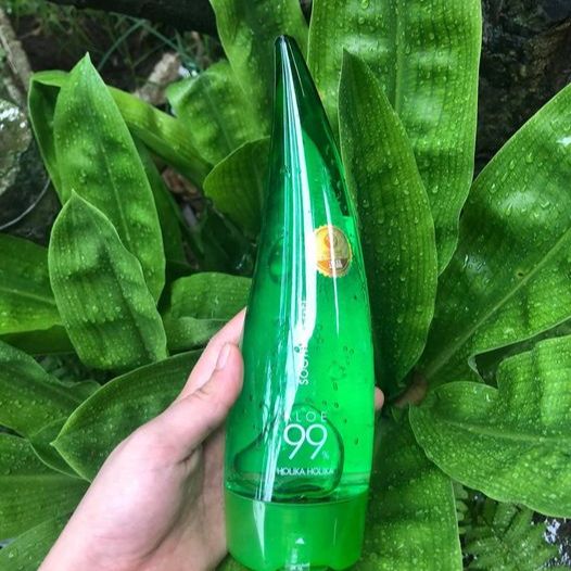 Gel nha đam Holika hàn Quốc